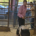 La Plata County 4H 2025